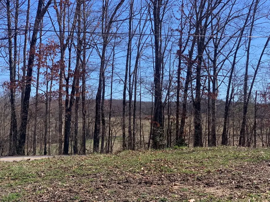 41 Smith Mountain, Rockwood, TN 37854 - #2