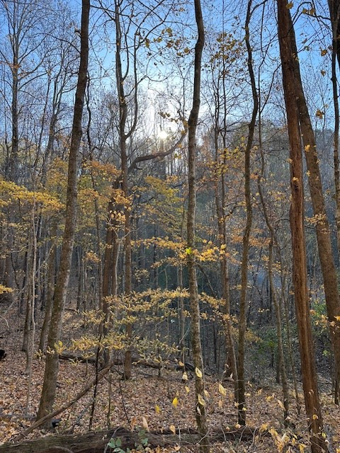 0 Lake View Drive Lot 59, Smithville, TN 37166 - #2
