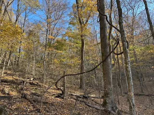 0 Lake View Drive Lot 59, Smithville, TN 37166 - #3