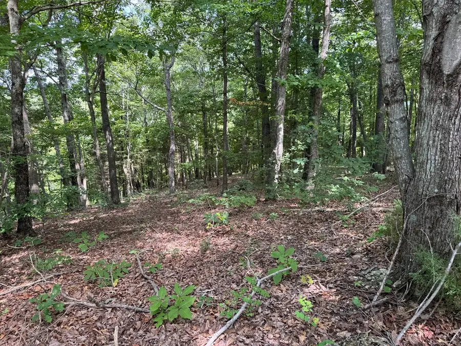 Lot 12 Cornerstone Pkwy, Allons, TN 38541 - #2