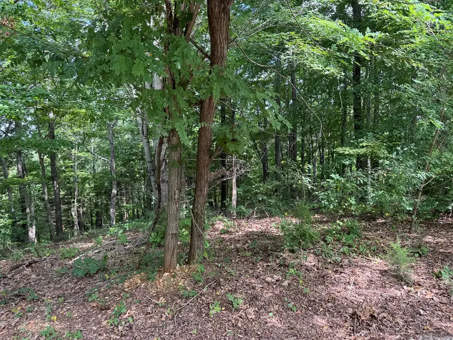 Lot 12 Cornerstone Pkwy, Allons, TN 38541 - #3