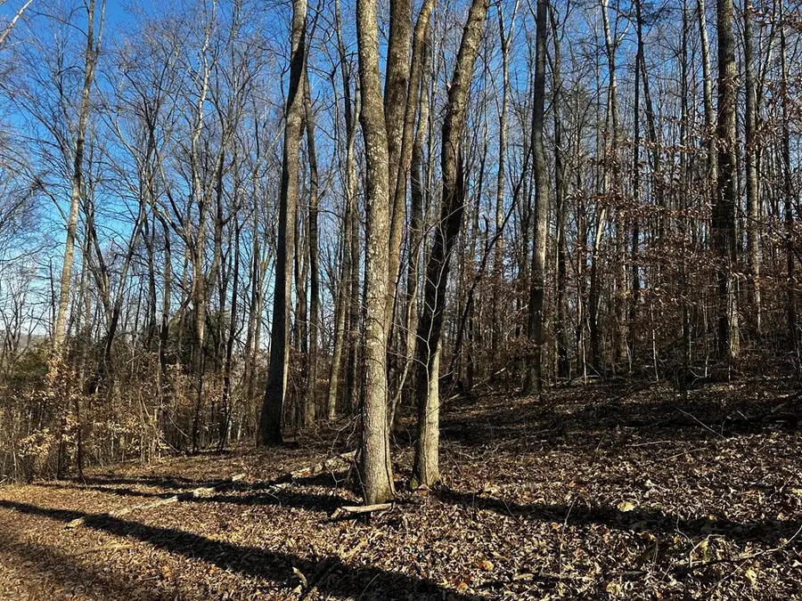 2725 Seven Springs Rd, Cookeville, TN 38506 - #3