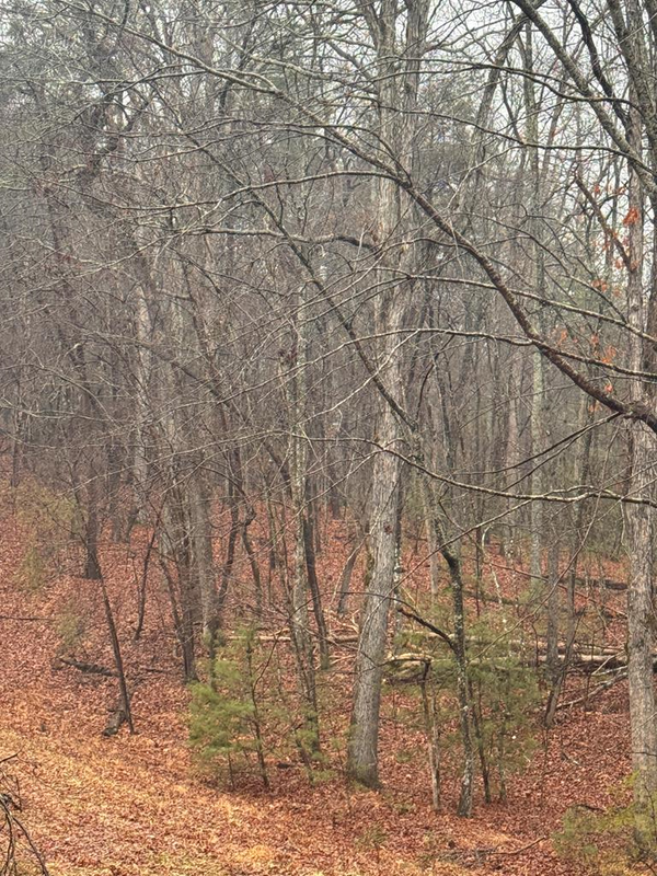 18 Bacham, CROSSVILLE, TN 385558