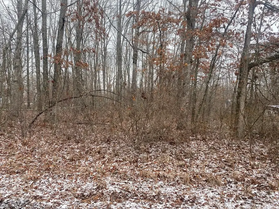 343 Blue Bird Drive, Crossville, TN 38571 - #2