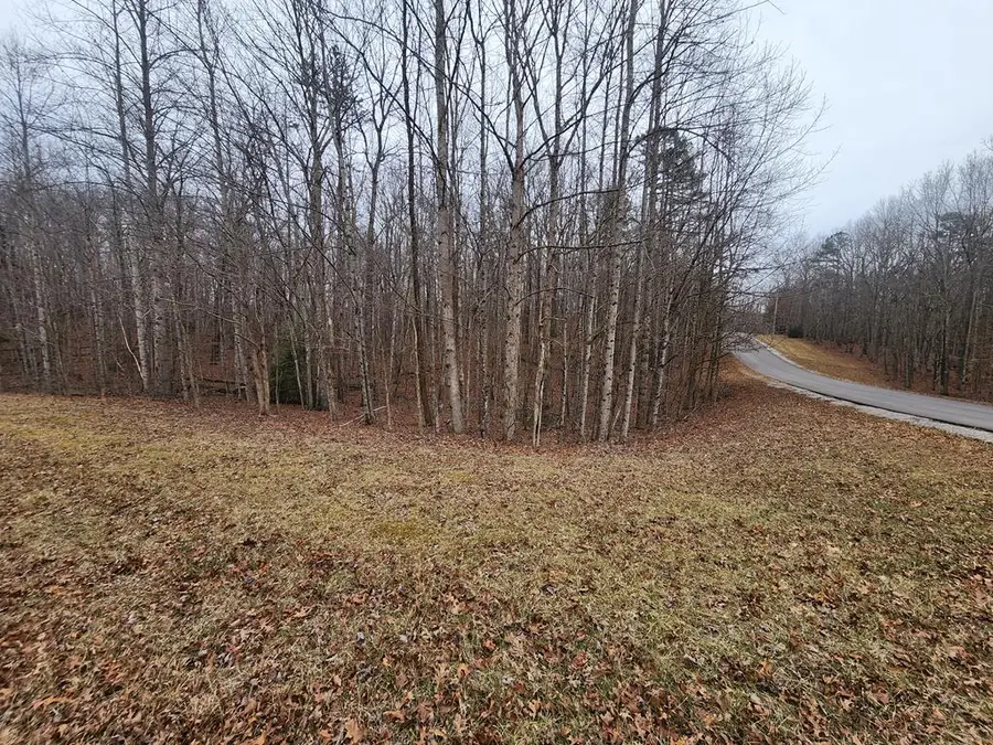 Lot 4 Blueberry Pt., Monterey, TN 38574 - #2