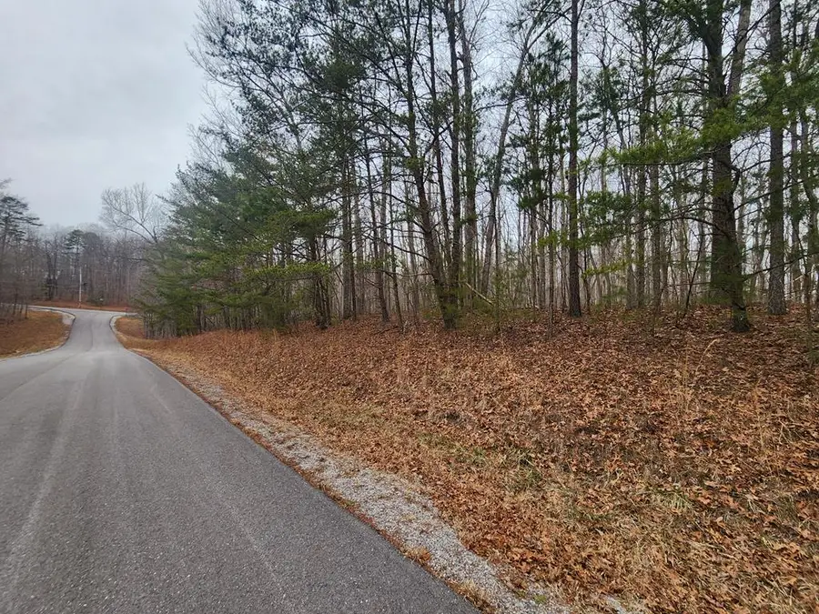 Lot 4 Blueberry Pt., Monterey, TN 38574 - #3