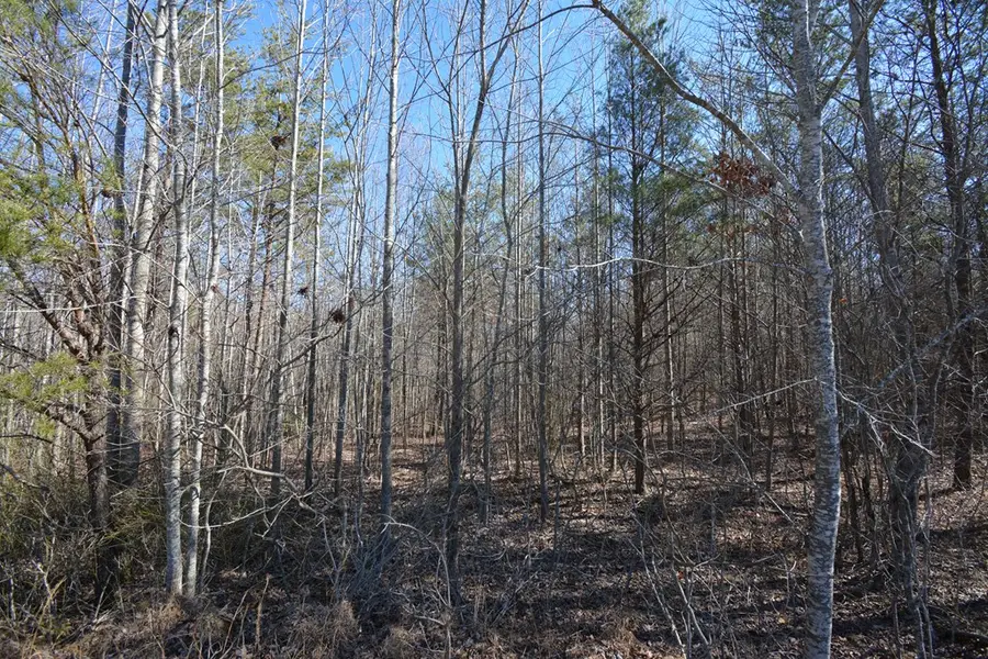 Lot 192 Horseshoe Drive, Spencer, TN 38585 - #3