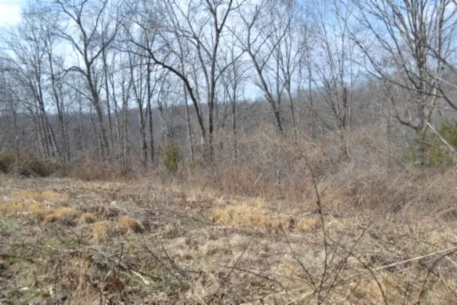 4.13ac Hush Hollow Lane, Baxter, TN 38544 - #2