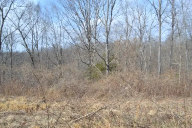 4.13ac Hush Hollow Lane, Baxter, TN 38544 - #3