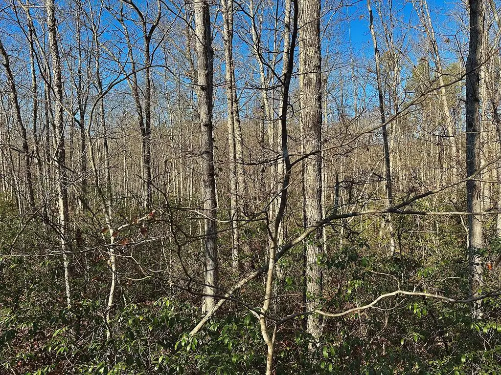 Lot 35 Wilson Ridge Road, Wilder, TN 38589 - #1