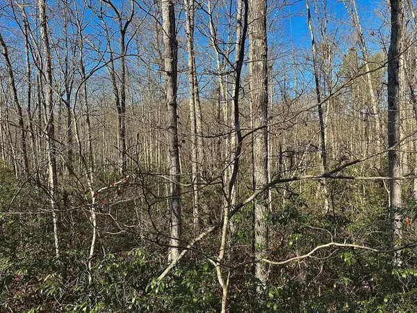 Lot 35 Wilson Ridge Road, WILDER, TN 38589