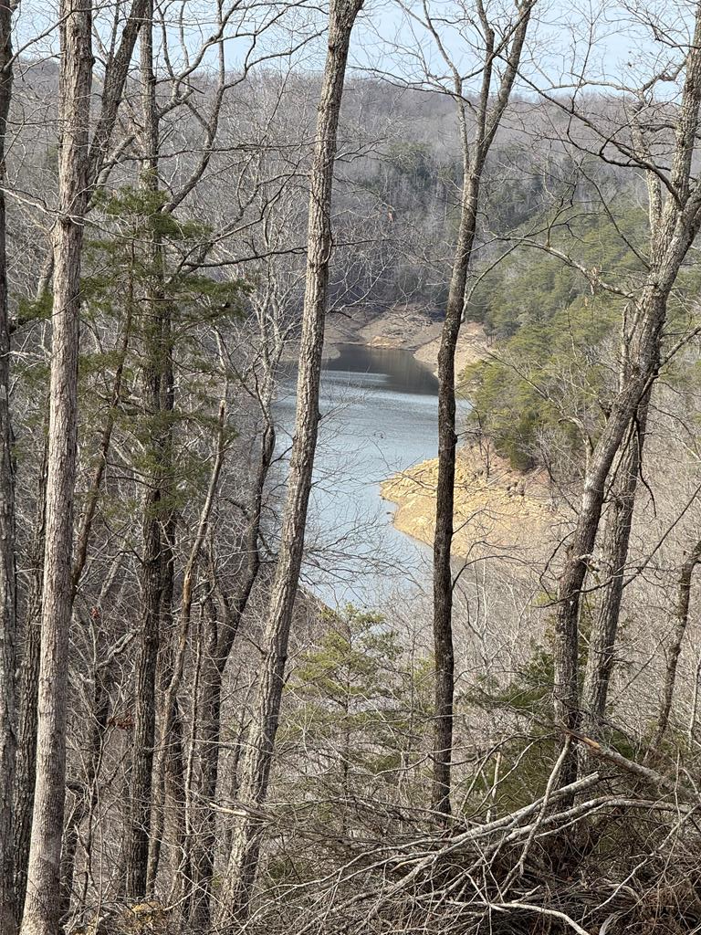 4647 Grider Hill Dock Road, Albany, KY 42602 - #1