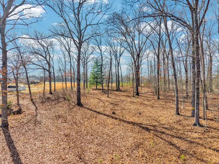 0 Peavine, Crossville, TN 38571 - #2