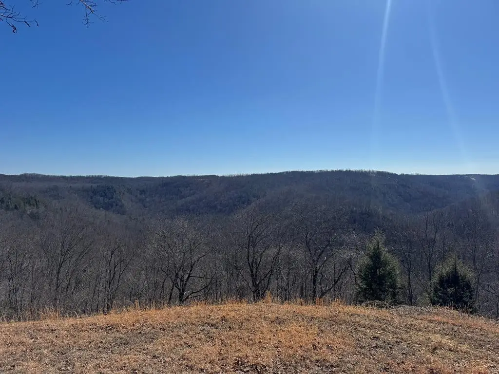 55300 Maynard Ridge Ln., Crawford, TN 38554 - #1