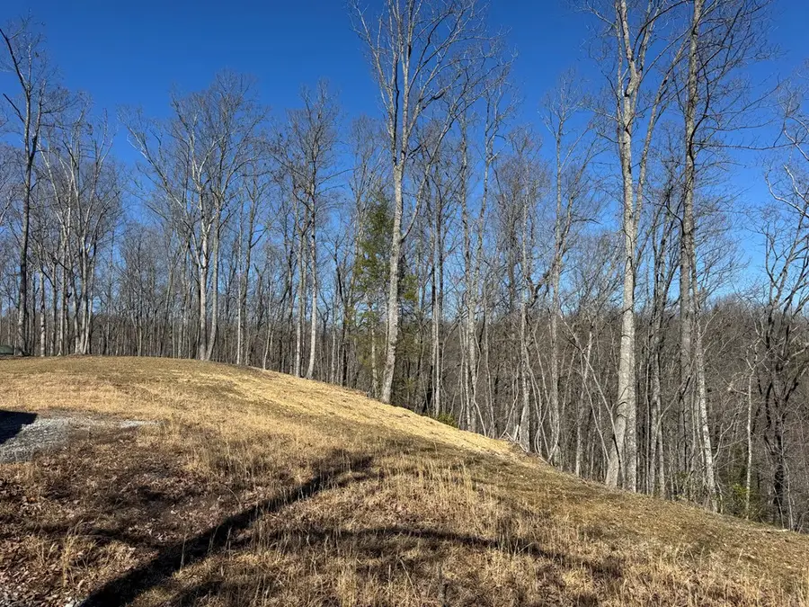 55300 Maynard Ridge Ln., Crawford, TN 38554 - #2