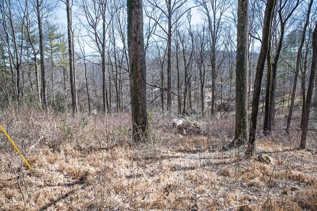 Lot 53 Lake Valley Dr., Cookeville, TN 38506 - #1