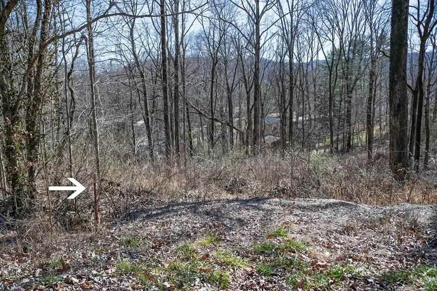 Lot 53 Lake Valley Dr., Cookeville, TN 38506 - #2