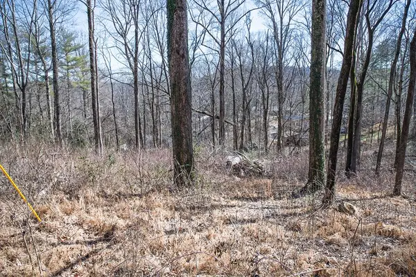 Lot 54 Lake Valley Dr., COOKEVILLE, TN 38506