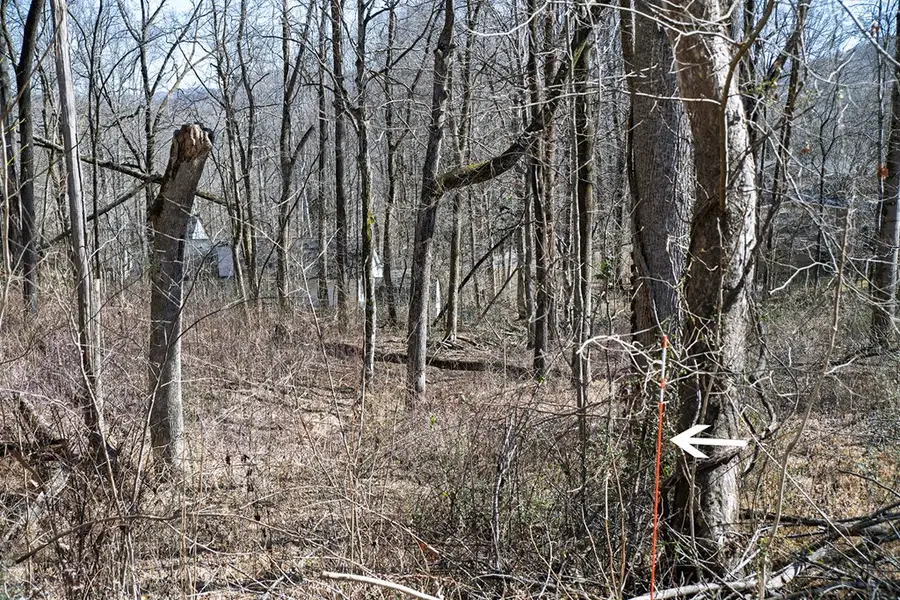 Lot 54 Lake Valley Dr., Cookeville, TN 38506 - #3