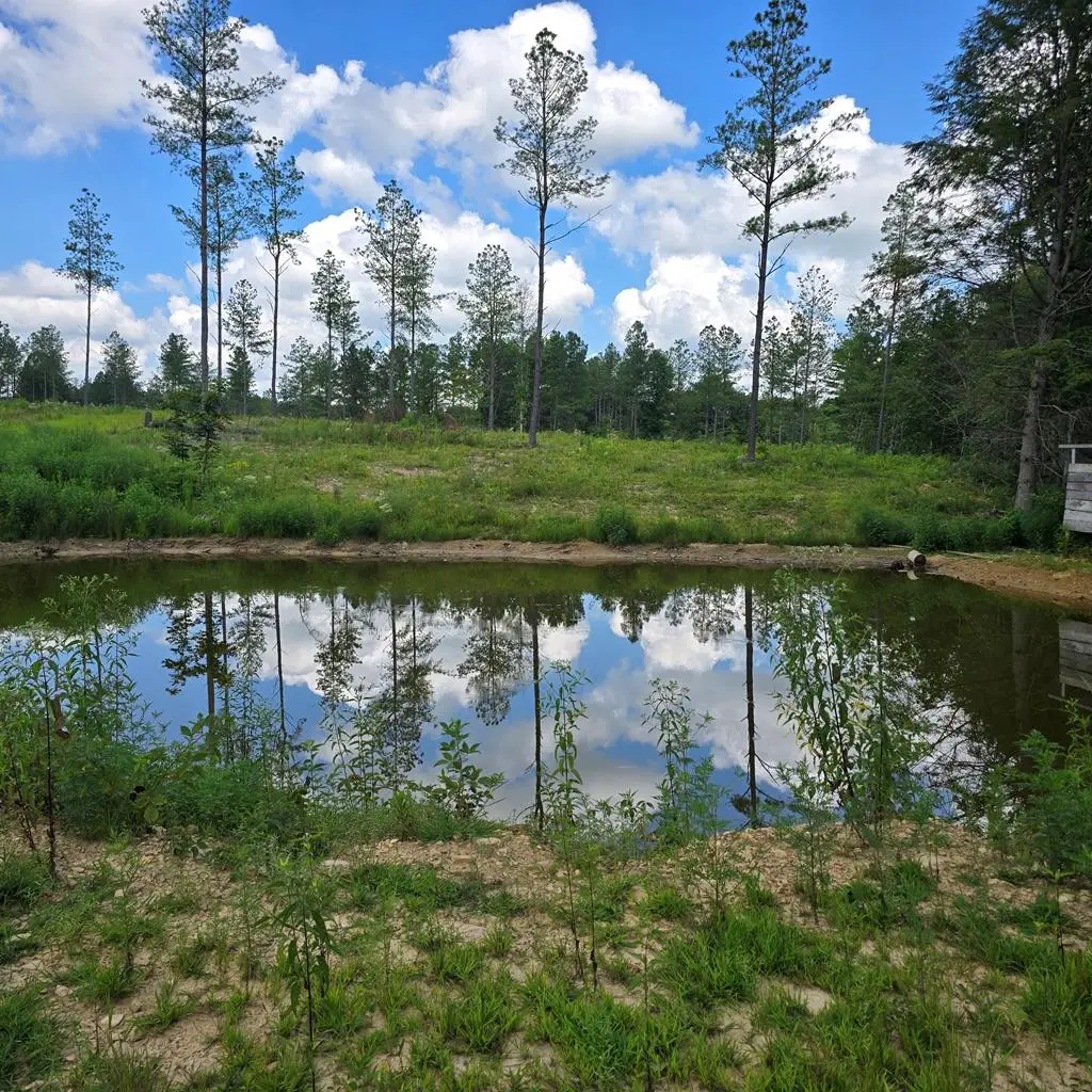 Tract 8 Boone Lane, Sunbright, TN 37872 - #1