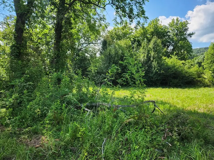 0.65 ac Powell St, Livingston, TN 38570 - #3