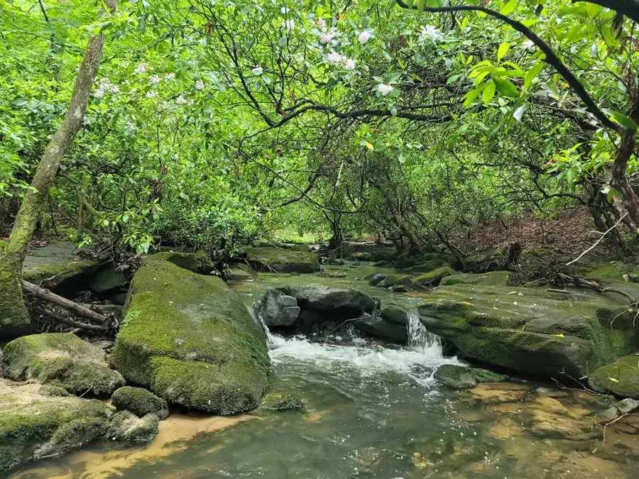 911 Spearhead Cir, Clarkrange, TN 38553 - #2