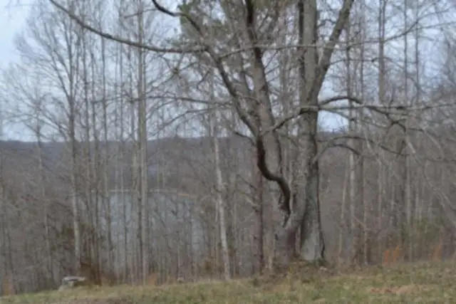 Lots 4&5 Fox Hill Road, Baxter, TN 38544 - #2