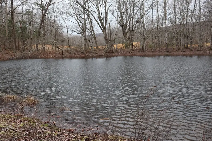 00 Millstone Mountain Rd., Rockwood, TN 37854 - #3