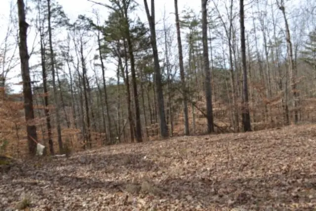 87+/-ac Boles Rd, Hilham, TN 38568 - #2