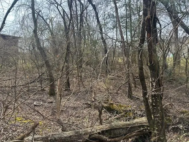 Lot 2 Ivanhoe Lane, Crossville, TN 38555 - #1