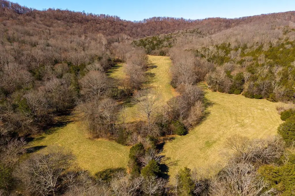 1 Cooper Hollow Dr, Auburntown, TN 38583 - #1