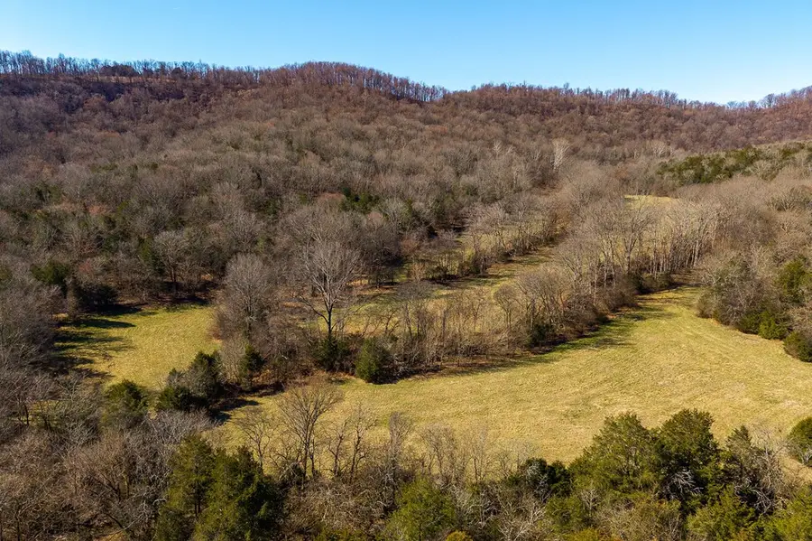 1 Cooper Hollow Dr, Auburntown, TN 38583 - #2