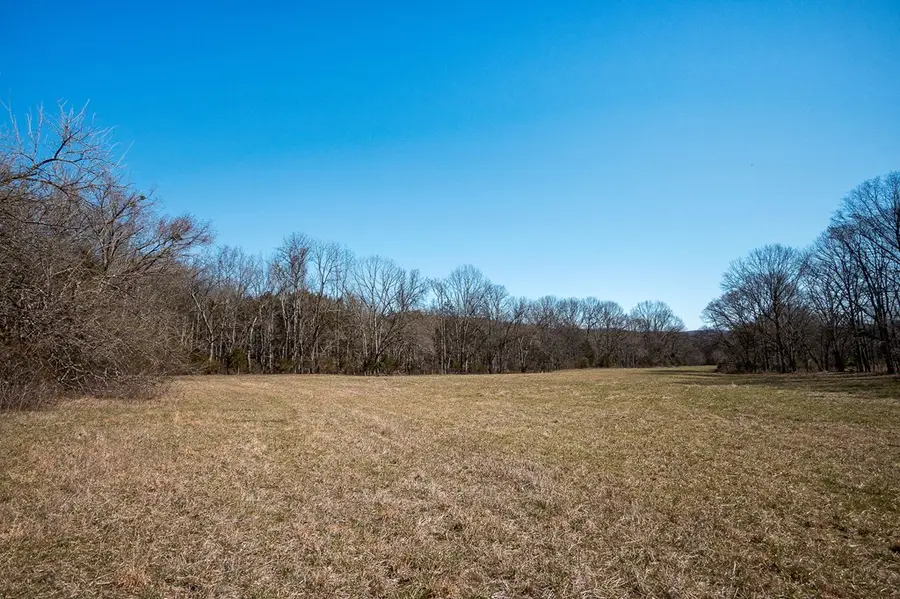 1 Cooper Hollow Dr, Auburntown, TN 38583 - #3
