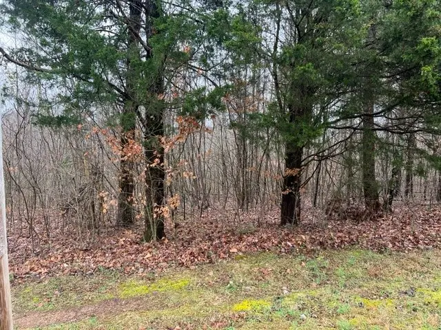 Lots 2&3 Cornerstone Pkwy, Allons, TN 38541 - #3