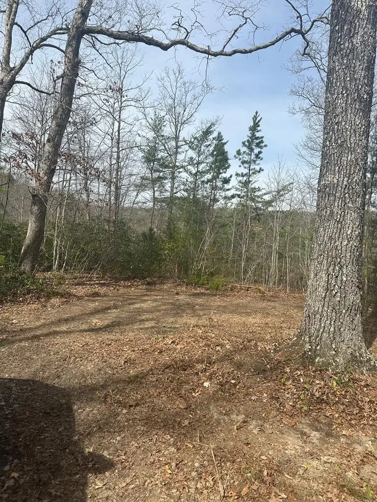 Lot 432 Valley View Circle Lot 432, Wilder, TN 38589 - #1