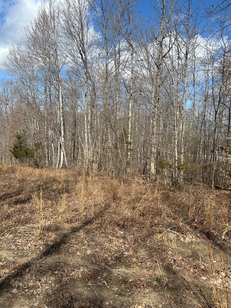 0 Hwy 127, Albany, KY 42602 - #3