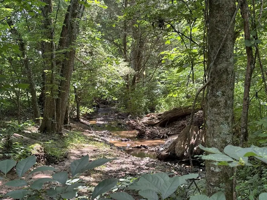 0 Bear Creek Circle, Cookeville, TN 38506 - #2