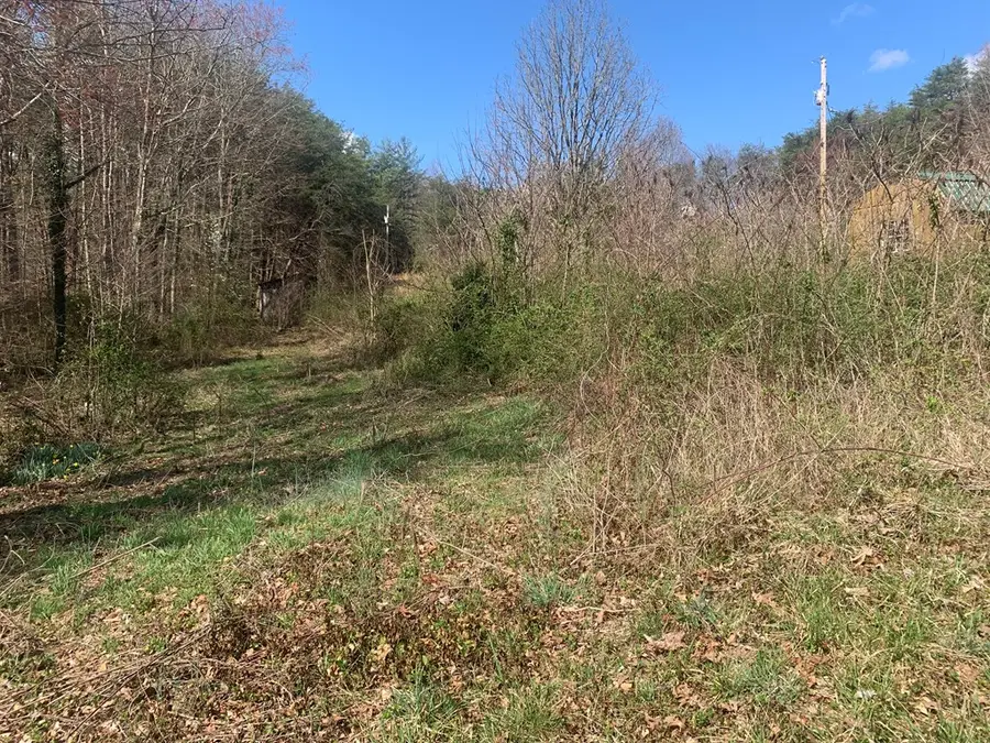 2625 Rt Davis Road, Spencer, TN 38585 - #3