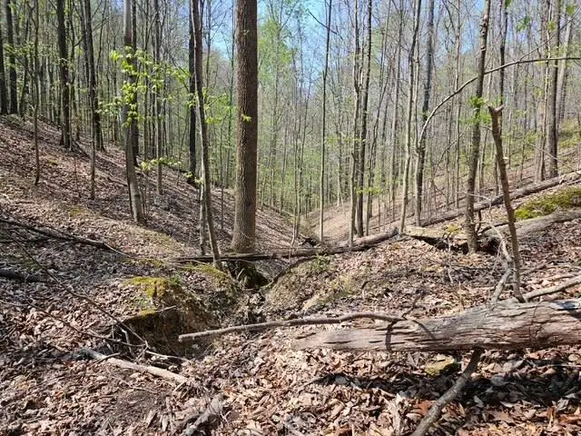 5 Acres Benton Tidwell Rd, Hilham, TN 38568 - #1