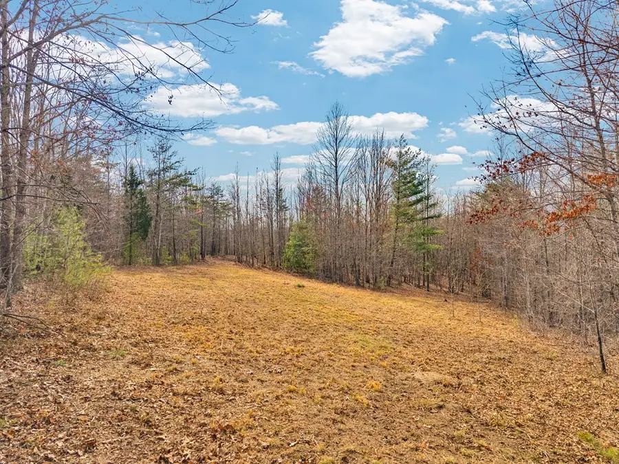 Lot 11 Soak Creek Ln, Grandview, TN 37337 - #2