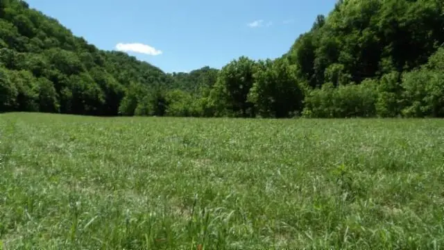 5155 Brimestone Creek Rd, Moss, TN 38575 - #1