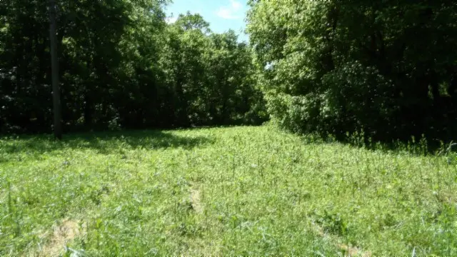 5155 Brimestone Creek Rd, Moss, TN 38575 - #2