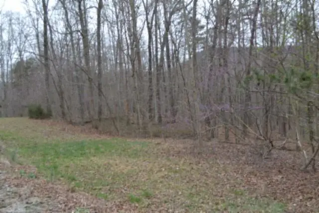 Lot 14 Cheyenne Drive, Jamestown, TN 38556 - #1