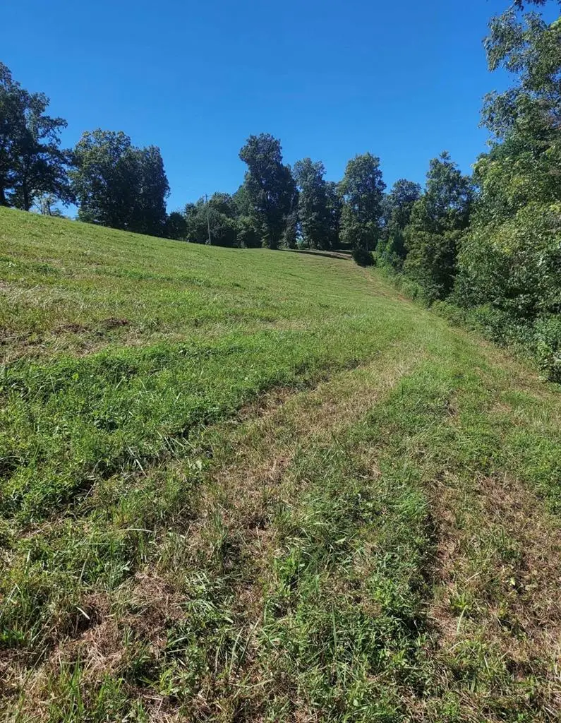 00 York Hwy, Gainesboro, TN 38562 - #1