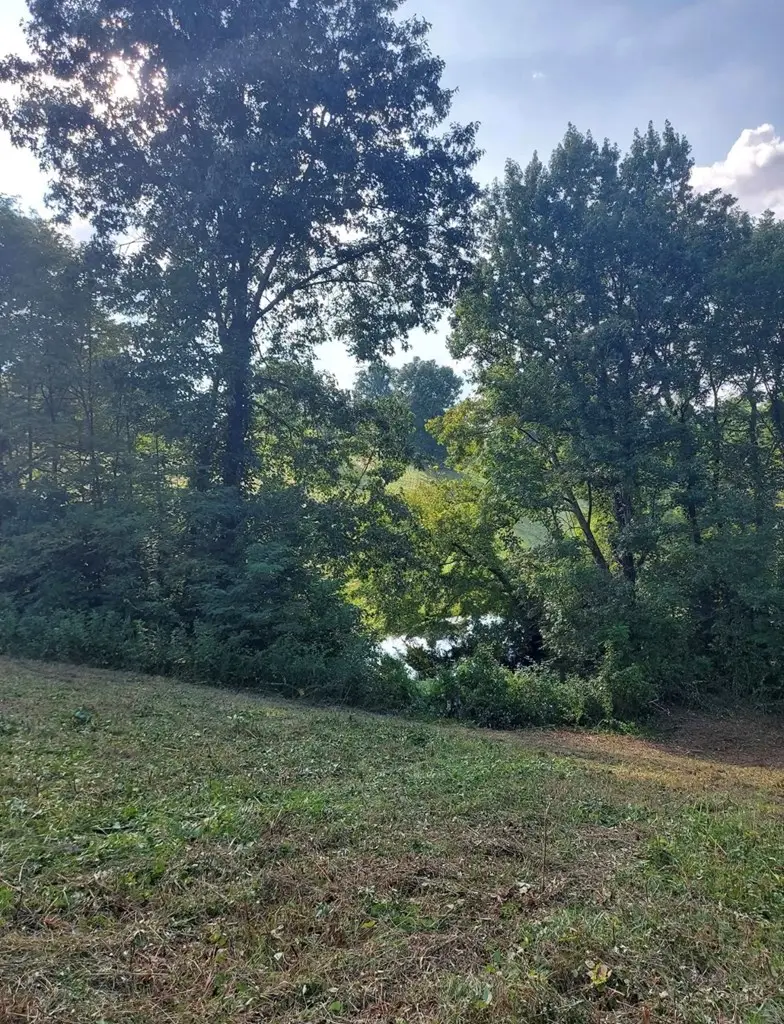 00 York Hwy, Gainesboro, TN 38562 - #3