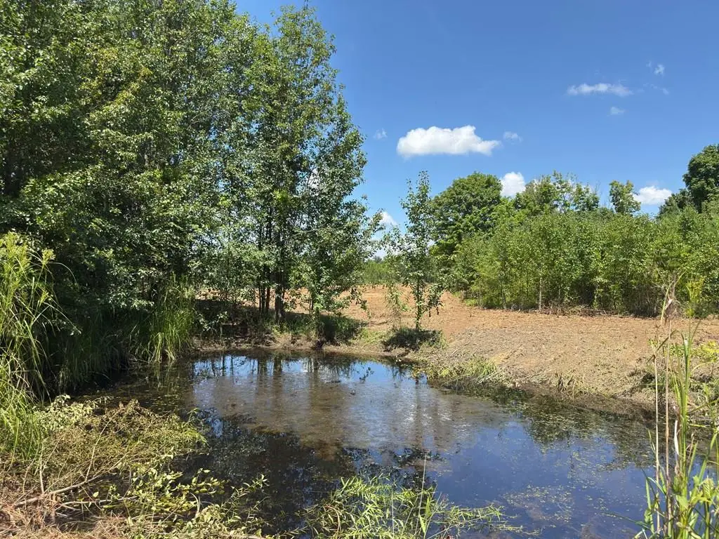 00 Marcrom Rd, Morrison, TN 37357 - #1