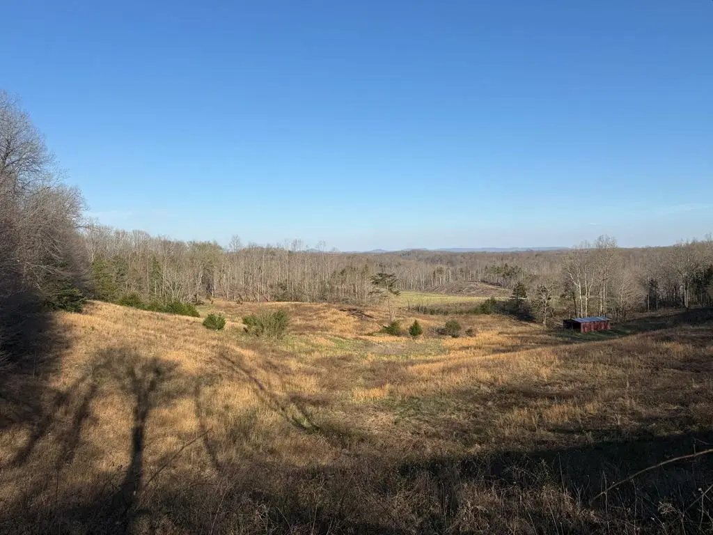 10 acres Bob Dennings Rd, Allons, TN 38541 - #1