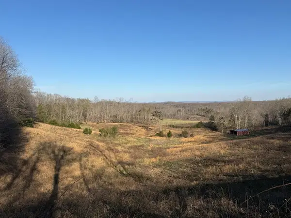 10 acres Bob Denning Rd, ALLONS, TN 38541
