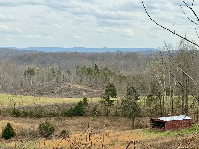 10 acres Bob Dennings Rd, Allons, TN 38541 - #2