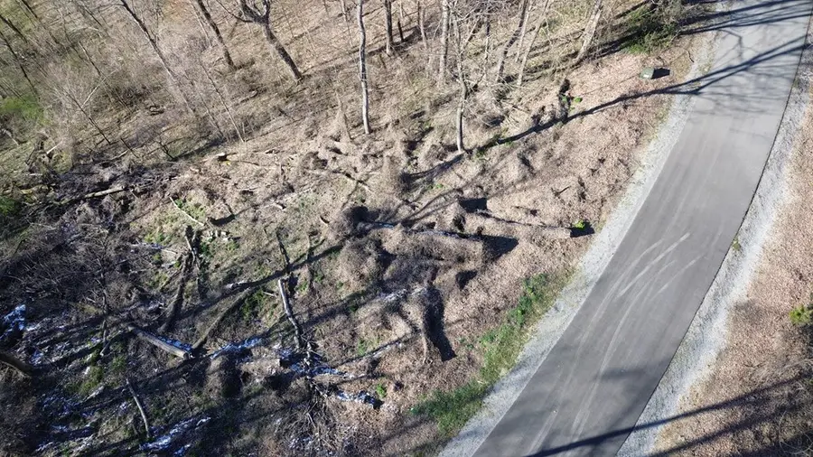 0 Lola Dr, Smithville, TN 37166 - #3